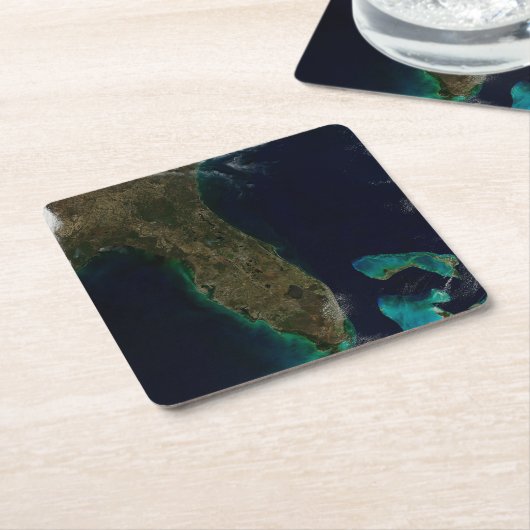 Satelliet Uitzicht van Florida. Kartonnen Onderzetters (Schuin)