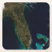 Satelliet Uitzicht van Florida. Kartonnen Onderzetters (Voorkant)
