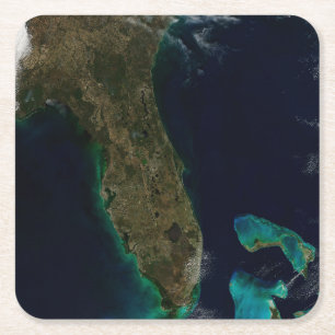 Satelliet Uitzicht van Florida. Kartonnen Onderzetters