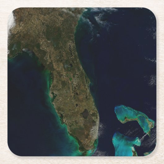 Satelliet Uitzicht van Florida. Kartonnen Onderzetters (Voorkant)