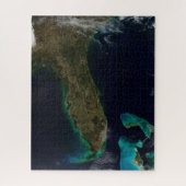 Satelliet Uitzicht van Florida. Legpuzzel (Verticaal)