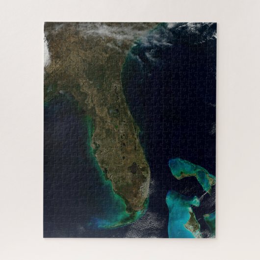 Satelliet Uitzicht van Florida. Legpuzzel (Verticaal)