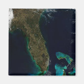 Satelliet Uitzicht van Florida. Magneet (Voorkant)