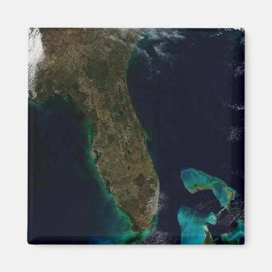 Satelliet Uitzicht van Florida. Magneet (Voorkant)