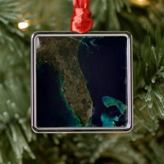 Satelliet Uitzicht van Florida. Metalen Ornament (Boom)