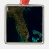 Satelliet Uitzicht van Florida. Metalen Ornament (Voorkant)