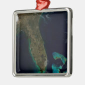 Satelliet Uitzicht van Florida. Metalen Ornament (Links)