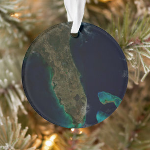 Satelliet Uitzicht van Florida. Ornament