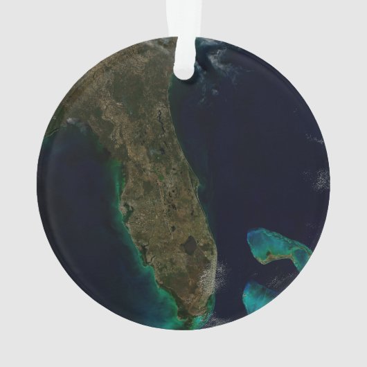 Satelliet Uitzicht van Florida. Ornament (achterkant)