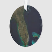 Satelliet Uitzicht van Florida. Ornament (voorkant)