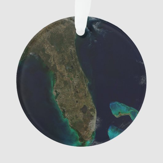 Satelliet Uitzicht van Florida. Ornament (voorkant)