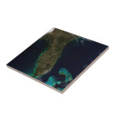 Satelliet Uitzicht van Florida. Tegeltje (Zijkant)