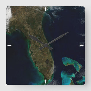 Satelliet Uitzicht van Florida. Vierkante Klok