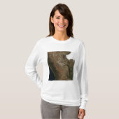 Satelliet-uitzicht van het landschap in Midden-Mex T-shirt (Voorkant volledig)