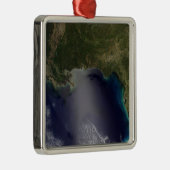 Satelliet uitzicht van het Zuidoosten van de Veren Metalen Ornament (Rechts)