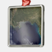 Satelliet uitzicht van het Zuidoosten van de Veren Metalen Ornament (Links)