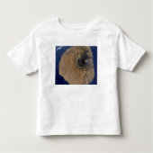 Satelliet-uitzicht van Mount Fogo Kinder Shirts (Voorkant)