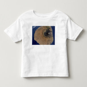 Satelliet-uitzicht van Mount Fogo Kinder Shirts