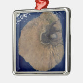 Satelliet-uitzicht van Mount Fogo Metalen Ornament (Links)