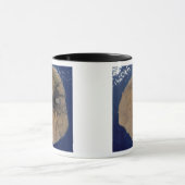 Satelliet-uitzicht van Mount Fogo Mok (Midden)