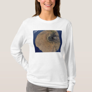 Satelliet-uitzicht van Mount Fogo T-shirt