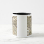 Satelliet-uitzicht van Persepolis Mok (Midden)