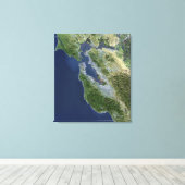 Satelliet-uitzicht van San Francisco, Californië Canvas Afdruk (Insitu (Houten vloer))