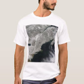 Satelliet-uitzicht van sneeuw t-shirt (Voorkant)