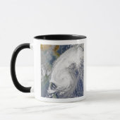 Satellietafbeelding van een tyfoon mok (Links)