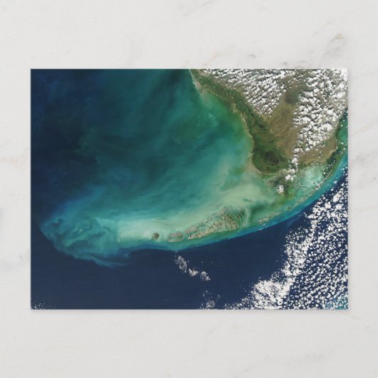 Satellietfoto van de Florida Keys Briefkaart (Voorkant)