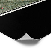 Satellietkaart van het meer Travis Texas Poster (Hoek)