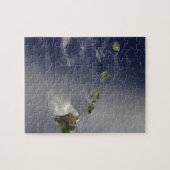 Satellietsatelliet Uitzicht van de Hawaiiaanse eil Legpuzzel (Horizontaal)