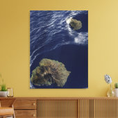 Satellietuitzicht van de Prince Edward Islands Canvas Afdruk (Insitu (Woonkamer))