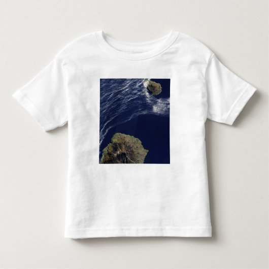 Satellietuitzicht van de Prince Edward Islands Kinder Shirts (Voorkant)