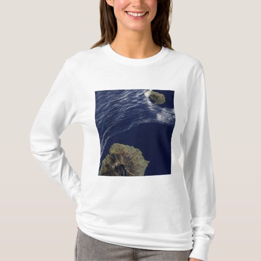 Satellietuitzicht van de Prince Edward Islands T-shirt (Voorkant)