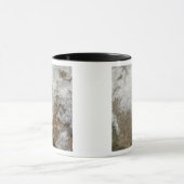 Satellietuitzicht van de westerne Verenigde Staten Mok (Midden)