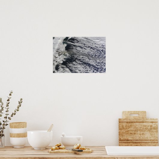 Satellietuitzicht van een aspluim poster (Keuken)