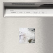 Satellietuitzicht van een massaal winterstorm bove magneet (Insitu (Vaatwasser))