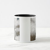 Satellietuitzicht van een zwaar winterstorm mok (Midden)