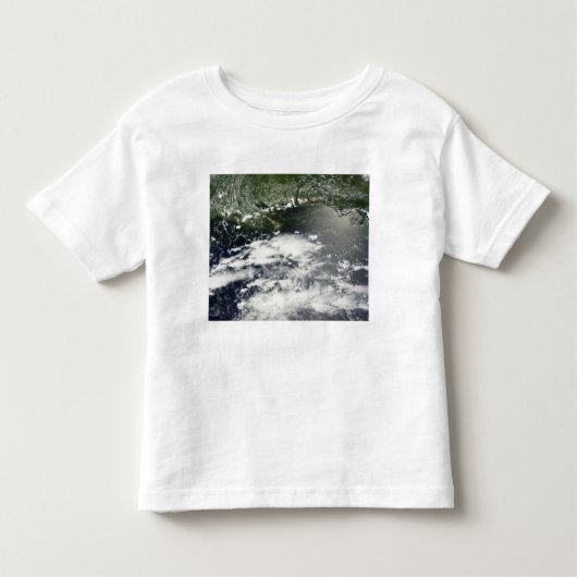 Satellietuitzicht van olieverlies 2 kinder shirts (Voorkant)