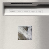 Satellietuitzicht van sneeuw en koud magneet (Insitu (Vaatwasser))