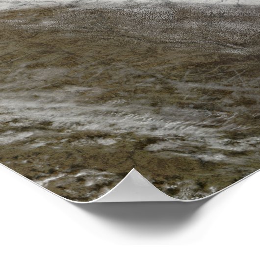 Satellietuitzicht van sneeuw en koud poster (Hoek)