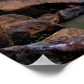 Sathodi Herfsten, Uttar Kannada, India Poster (Hoek)