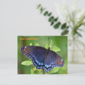 SATIN LUMINESCENCE BRIEFKAART (Staand voorkant)