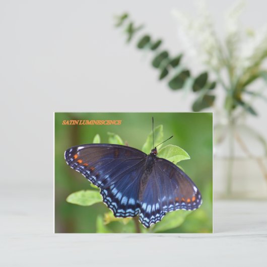 SATIN LUMINESCENCE BRIEFKAART (Staand voorkant)