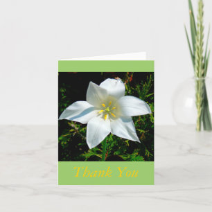 SATINY WHITE FLOWER /BEDANKKAART/FOTO. BEDANKKAART