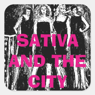 SATIVA EN DE STAD VIERKANTE STICKER