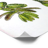 Sativa Plant  Botany Tekening Poster (Hoek)