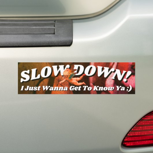 Satomi motorsport Slow Down! Bumpersticker (Op auto)