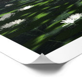 Satori Poster (Hoek)